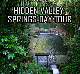 Hidden Valley Springs Day Tour